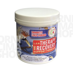 LOR Therapy & Recovery Support Formula 500g